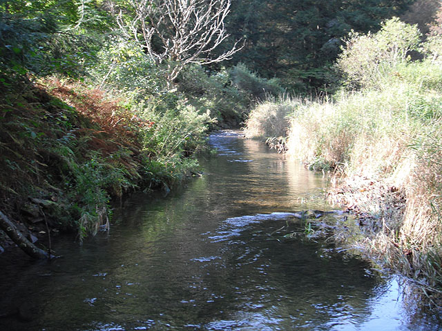 CAMP OCT2011 004.jpg - The Run where most were caught